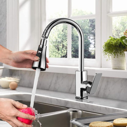 Kitchen Sink Faucet