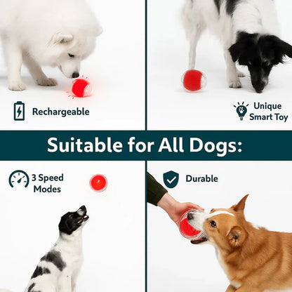 Active Rolling Ball