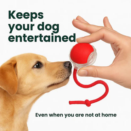 Active Rolling Ball